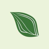 Green leaf icon on green background. Ecology concept. Elegant element for corporate business identity. Leaf bones form Allah's calligraphy. nature-themed illustration element vector