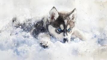 Siberian husky puppy in snow wallpaper photo