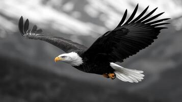 A bald eagle flying over a mountain range photo