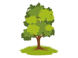 rees and root with green leaves. vector