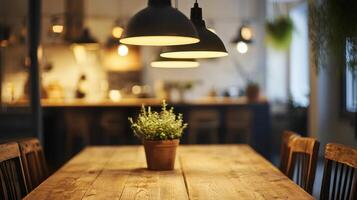A dining table with a potted plant in it photo