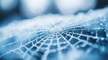 A finely woven spider web catches the early morning dew, reflecting light in a serene forest setting. Nature showcases its beauty as droplets cling to each strand photo