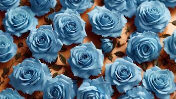 Beautiful roses background photo