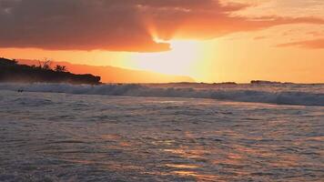 Sunset scene on a Hawaiian beach with orange sky, rolling waves, palm tree silhouettes, and coastal cliffs in the background. video