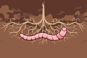 illustration of worms useful for maintaining soil fertility, cartoon style vector