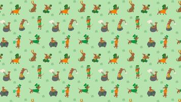 Cartoon dachshunds wearing green clothes and hats. St. Patrick's day animation Loop Background. video