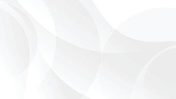 abstract white background with wave and curve lines vector