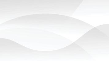 abstract white background with graphic curve lines decoration vector