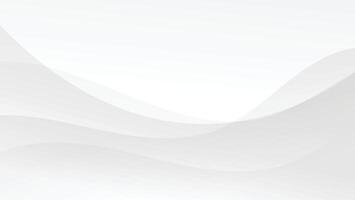 abstract modern white background with curve lines decoration vector