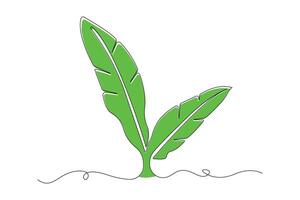 Continuous line art drawing of banana leaf. vector