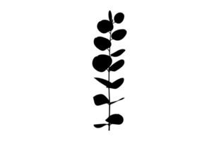 Eucalyptus Leaf Silhouette isolated on white background vector