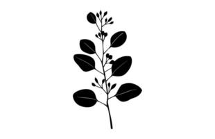 Eucalyptus Silhouette isolated on a white background vector