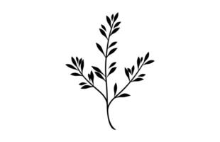 Thyme herb Clipart isolated on a white background vector