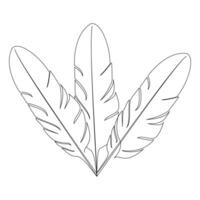 The soft curves and fluidity of bird feather single-line art convey the effortless lightness and airy quality of a bird's wing. vector