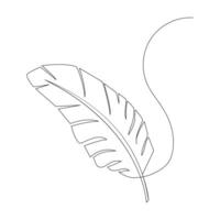 In bird feather single-line art, the simplicity of the design contrasts with the complexity of nature, highlighting the feather's natural elegance. vector