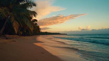 Waves lazily lap against the sandy shore as the sun sets behind wispy clouds, painting the sky in brilliant hues. Palm trees stand tall along the coastline photo