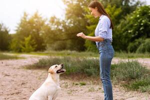 Obedience Concept. Young girl teaching her golden retriever to sit down, playing on the beach, copy space photo