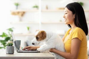 Pretty young chinese lady freelancer working online from home, sitting at table with modern laptop and stationery, petting her dog while typing on computer keyboard, copy space, side view photo