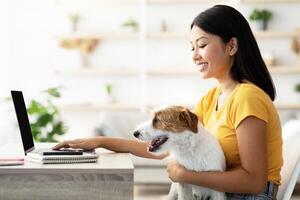 Smiling young korean woman sitting at workdesk with dog playful jack russel terrier, typing on laptop keyboard, sending emails, petting her happy puppy while working from home, side view, copy space photo