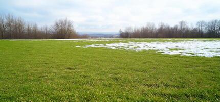 A grassy field with patches of snow under a cloudy sky. photo
