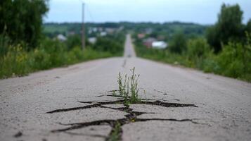A cracked road with grass growing through the fissures in a rural setting. photo