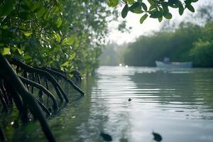 Serene mangrove scene with water reflections and a distant boat. photo