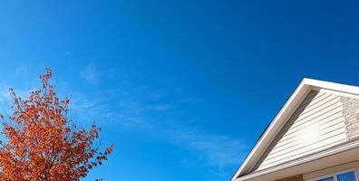 A clear blue sky above a house and a vibrant autumn tree. photo