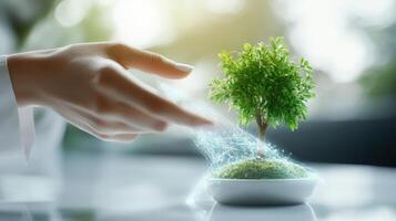 Futuristic Concept of Sustainable Technology with Hand Touching Digital Tree Growing on Moss in White Pot photo
