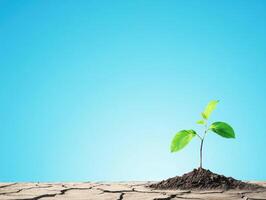 A small green plant emerges from dry, cracked soil against a bright blue background, symbolizing growth and resilience. photo