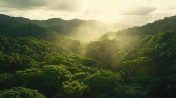 Lush green jungle landscape illuminated by soft sunlight streaming through clouds, creating a serene and tranquil atmosphere. photo