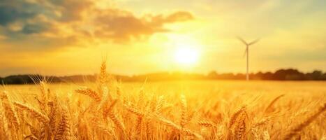 Golden wheat field at sunset with a wind turbine in the background, illustrating renewable energy and agricultural landscapes. photo