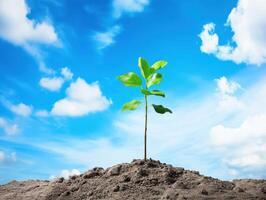 A small green plant sprouts from dry soil under a bright blue sky with fluffy clouds, symbolizing growth and renewal. photo