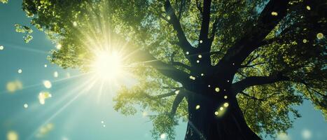 A vibrant tree reaches towards the sun, surrounded by soft light particles, creating a serene and uplifting atmosphere. photo