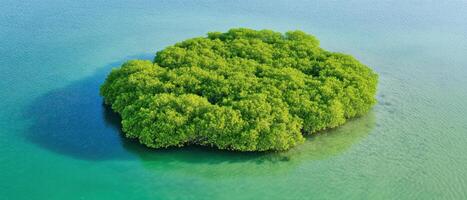 A lush, green island surrounded by clear blue water, showcasing the beauty of nature and tranquility. photo