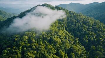 Lush green mountains shrouded in mist, showcasing a serene natural landscape with dense foliage and distant peaks. photo
