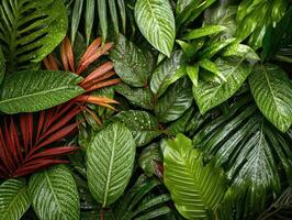 Lush tropical foliage featuring a variety of green leaves with hints of red, creating a vibrant and refreshing natural backdrop. photo