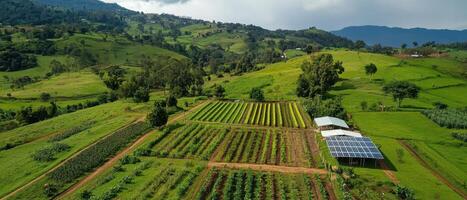 Aerial view of lush green farmland with rows of crops and distant mountains under a cloudy sky. photo