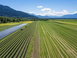 Aerial view of expansive farmland with rows of crops, mountains in the background, and clear blue skies. photo