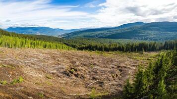 Panoramic view of a deforested landscape with scattered trees and distant mountains under a blue sky. photo