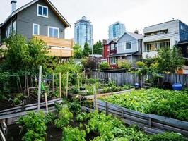 Urban garden with lush greenery and wooden beds, surrounded by residential buildings and skyscrapers in the background. photo