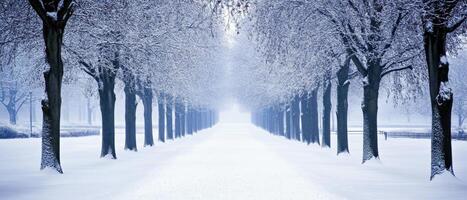 A serene winter scene featuring a snow-covered pathway lined with bare trees, creating a tranquil and peaceful atmosphere. photo