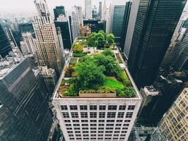 A green rooftop garden on a tall building in an urban skyline, showcasing nature amidst city architecture. photo