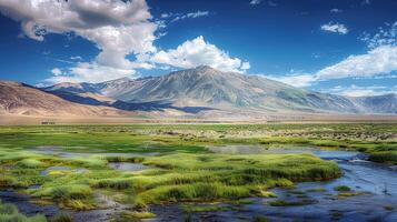 lush green valley with mountains in the background under a bright sky photo