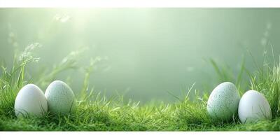 Eggs resting on lush green grass under soft natural light in a serene outdoor setting photo