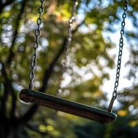 Swing is shown in the background of a tree photo