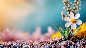 A vibrant close-up of a daisy amidst colorful flora, capturing the essence of spring in a serene setting photo