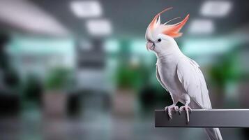 A striking white cockatoo with vibrant orange crest perched on a sleek railing in a modern office space photo