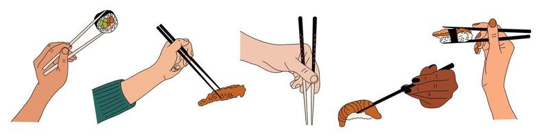 Set of hands holding chopsticks with sushi vector