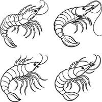Shrimp Outlines for Coloring vector