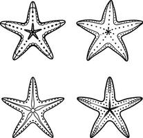 Star Fish Line Art Coloring Sheet vector